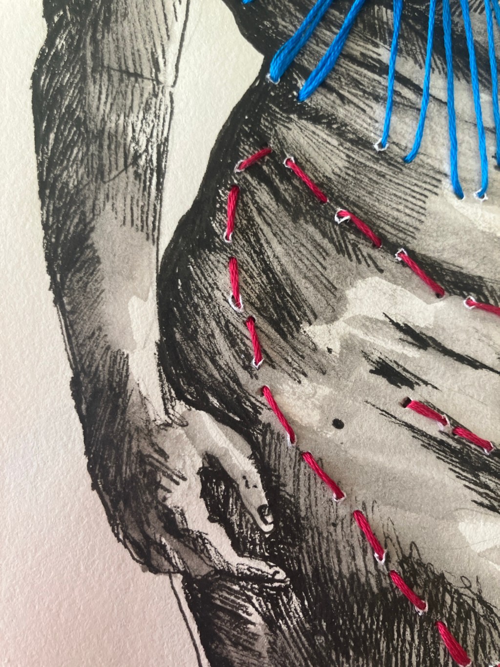 Stitching and sketching